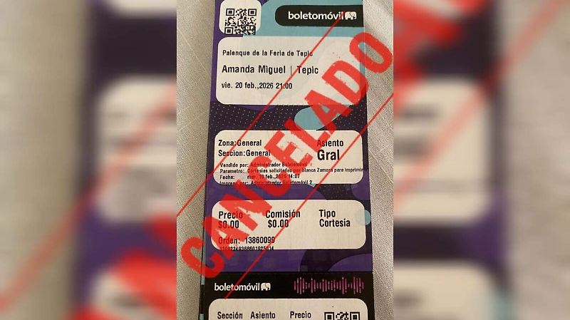 Amanda Miguel Fraude (1).jpeg